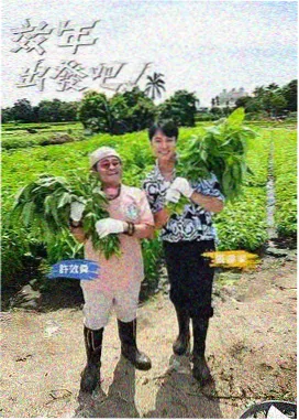 江城旧巷线迟到的页码书店二十四小时阅读舱实景图